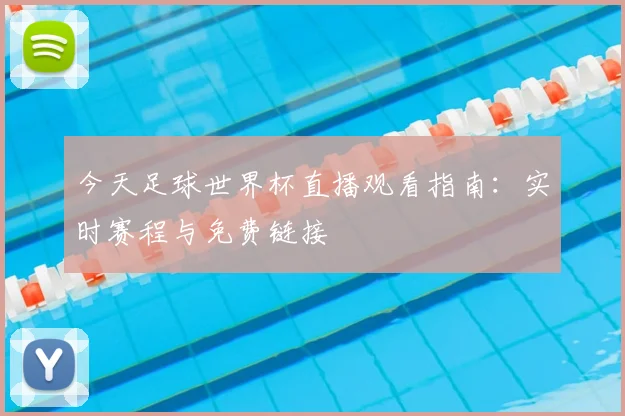 今天足球世界杯直播观看指南:实时赛程与免费链接